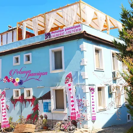 Petunya Accommodatie bij particulieren